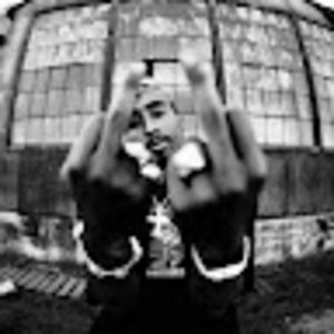 Meet your Posher, Antonio